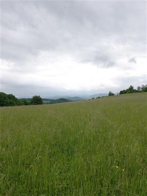 03 Pohľad na lokalitu III.