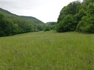 01 Pohľad na lokalitu I.