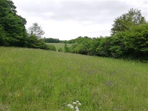 02 Pohľad na lokalitu II.