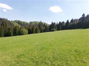 01 Pohľad na lokalitu