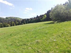 03 Pohľad na lokalitu III.