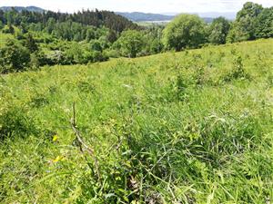 03 Pohľad na lokalitu III.