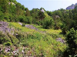 pohľad na tml v hornej časti Haligovských skál