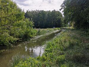 Pohľad na biotop od severu, zo západného brehu
