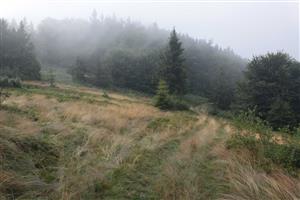 severovýchodná časť