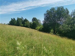 Pohľad na centrálno-západnú časť (horná časť svahu)