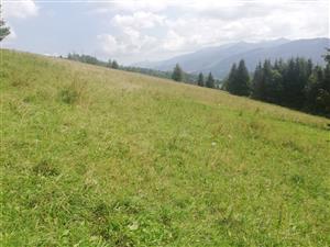 Pohľad na SV časť lokality