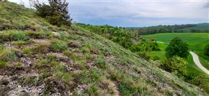 pohľad na lokalitu, odpovedajúci predch. monitoringu, fotografia je z mája