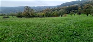 pohľad na sad na V časti lokality