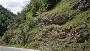 Skalný svah nad cestou - pohľad do zákruty, smerom dole kopcom.