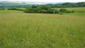 Pohľad na časť TML