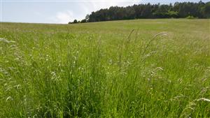 Pohľad na časť TML