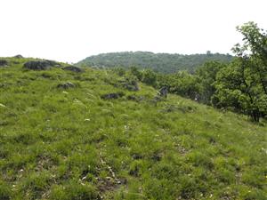 pohľad na spoločenstvo