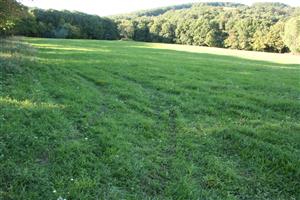 pohľad na TML - južná časť