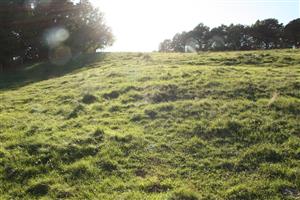 pohľad na TML smerom na severozápad