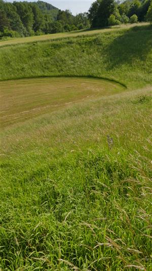 Pohľad na časť TML s biotopom Lk1 (na časti je už lúka pokosená)