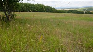 Pohľad na TML z južného okraja