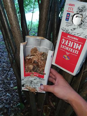 Hniezdo pĺšika lieskového