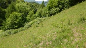 Pohľad na časť TML s biotopom Lk1 (nad usadlosťou)