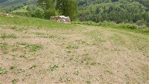 Pohľad na časť TML s degradovaným biotopom Lk1 (pravdepodobne stádlením)