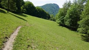 Pohľad na TML s vypaseným biotopom Lk1