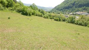 Pohľad na časť TML s komplexom biotopov Tr1 a Lk1