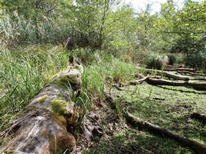 TML, interiér bez vodnej hladiny