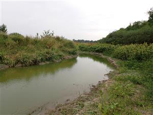 TML, zvyšky vody a obnažený litorál