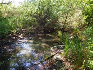 TML Hámsky kanál, interiér