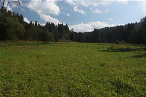 západná časť lokality