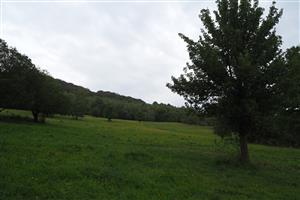 Pohľad na biotop, ako foto z 2015.