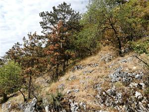 TML_StenEura_002_2