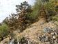 TML_StenEura_002_2