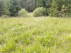 Pohľad na južnejšiu časť TML_7230_110