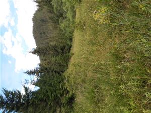 Pohľad naTML_7230_109