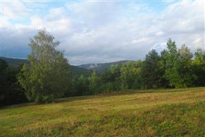 Pohľad na TML, horná časť