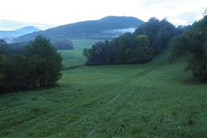 Pohľad na lokalitu, cca rovnaká fotka ako z monitoringu v roku 2014.