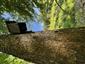 TML_MuscAvel_036 - búdka na jedli a biotop lesa