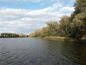 Pohľad na časť severnej  časti TML Veľkoblahovské rybníky, vpravo pobrežné biotopy Hyla arborea. Foto: 3.10.2022, J.Lengyel.