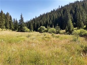 Pohľad na TML_7230_196 z mosta