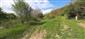 užovka stromová (21.5.2022)