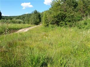 Bodiná Kapustové pohľad na lokalitu 2