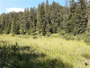 Pohľad 1 na TML_7230_108