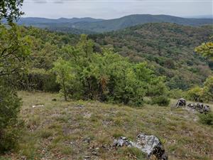 TML - Rovence - biotop 2