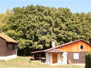 TMP (Byšta-kúpele)