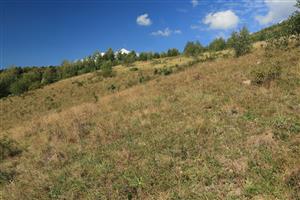 pohľad na Z časť lokality