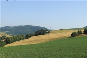 pohľad na J časť lokality