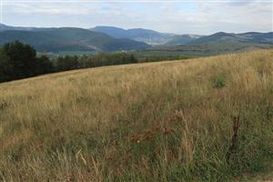 pohľad na J časť lokality