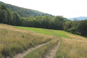 pohľad na kosenú časť lokality