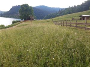 Pohľad na ručne kosenú južnú časť TML_6510_364